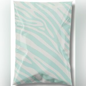 20 Mint Zebra 6”x9” PolyMailers
